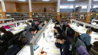 J&oacute;venes estudiando en la biblioteca