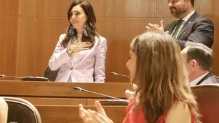 La diputada de Vox ha sido la &uacute;nica candidata presentada para el cargo