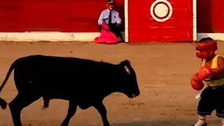 El Comit&eacute; de entidades de representantes de personas con discapacidad de Arag&oacute;n (Cermi Arag&oacute;n), insta en que se suspenda el espect&aacute;culo c&oacute;mico taurino.