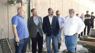 Lamb&aacute;n