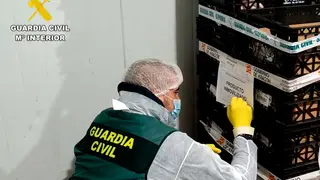 La Guardia Civil ha realizado numerosas inspecciones dentro de la operaci&oacute;n Potacar