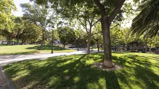 &Aacute;rboles