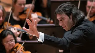 Conciertos Auditorio