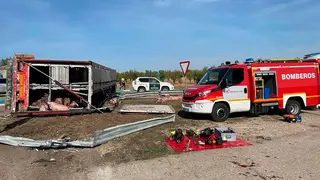 Accidente de un cami&oacute;n de cerdos en Valdealgorfa