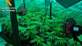 El hombre cultivaba la droga en el interior de armarios de grandes dimensiones, acondicionados con todo lo necesario para el proceso de crecimiento (luminarias, sistemas de temperatura, ventilaci&oacute;n, extracci&oacute;n). Foto: Guardia Civil
