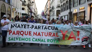 Los colectivos ecologistas han comparecido este jueves en el Parlamento Europeo