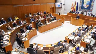 La propuesta, anunciada por Azc&oacute;n, tendr&iacute;a lugar el pr&oacute;ximo Pleno. Foto: Cortes de Arag&oacute;n