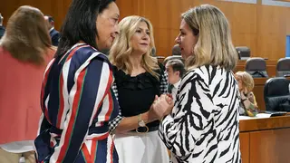 P&eacute;rez Forni&eacute;s ha intervenido por primera vez ante el Pleno de las Cortes