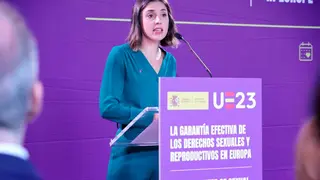 Contin&uacute;a la pol&eacute;mica en el hemiciclo coincidiendo con el Pleno. Foto: Ministerio de Igualdad