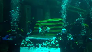 El 11 de octubre de 2023 tendr&aacute; lugar la ofrenda floral subacu&aacute;tica en el Acuario de Zaragoza.