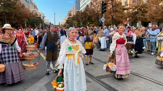 La Ofrenda de Frutos ha recorrido esta ma&ntilde;ana las calles de Zaragoza.