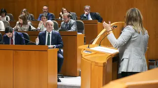 La portavoz socialista, Mayte P&eacute;rez, ha definido al nuevo Gobierno como &ldquo;hecho a cachos y a retales&rdquo;, fruto de las &ldquo;calabazas&rdquo; que Azc&oacute;n habr&iacute;a recibido ante &ldquo;la compa&ntilde;&iacute;a de Vox&rdquo;