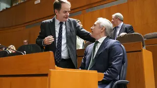 Berm&uacute;dez de Castro ha intervenido en el Pleno de este viernes a propuesta del socialista &Oacute;scar Galeano