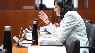 CHA defender&aacute; una iniciativa en el pr&oacute;ximo Pleno. Foto: Cortes de Arag&oacute;n