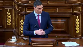Pedro S&aacute;nchez