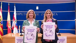 El primer semestre de este a&ntilde;o se han producido 1.411 casos de violencia contra la mujer en la provincia de Zaragoza y 848 ten&iacute;an una orden de protecci&oacute;n.