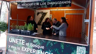 Todos aquellos lo deseen podr&aacute;n plantar el &aacute;rbol personalmente apunt&aacute;ndose a las jornadas de plantaci&oacute;n que se desarrollar&aacute;n a partir de febrero en el vedado de Pe&ntilde;aflor.