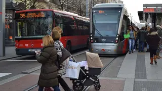 bus tranv&iacute;a Zaragoza nochevieja transporte p&uacute;blico