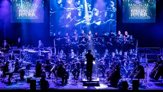 The Magical Music of Harry Potter