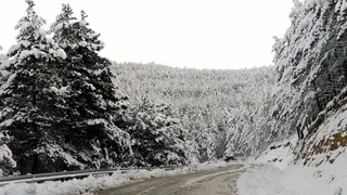 La suspensi&oacute;n del servicio afectar&aacute; a 1.128 alumnos en total, de los cuales 892 pertenecen a la provincia de Huesca con 103 rutas afectadas.
