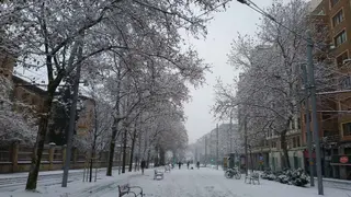 calle con nieve
