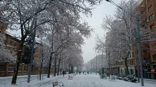 nieve