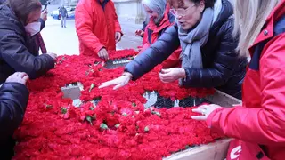 floristas-san-valero-1