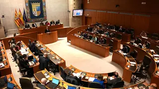 Pleno-Cortes-16