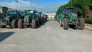 Foto de archivo de una tractorada.