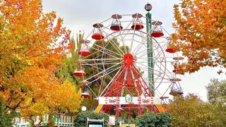 parque-de-atracciones