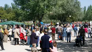 cincomarzada