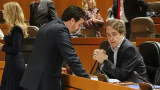 bermudez-castro-pleno