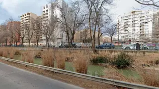 Denuncian una falta de atenci&oacute;n a las zonas verdes del barrio