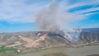 Estabilizado el incendio forestal de Mequinenza con 40 hect&aacute;reas quemadas