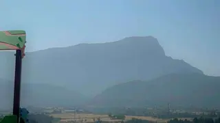 penaoroel