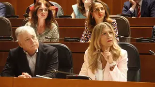 pleno
