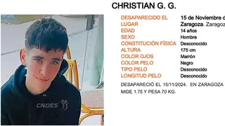El joven menor de 14 a&ntilde;os fue visto por &uacute;ltima vez el pasado viernes en Zaragoza