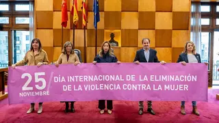 viog&eacute;n-ayuntamiento-zaragoza-violencia-machista
