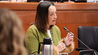 La consejera Carmen Sus&iacute;n, este martes, en la Comisi&oacute;n de Bienestar y Servicios Sociales. Foto: Cortes de Arag&oacute;n