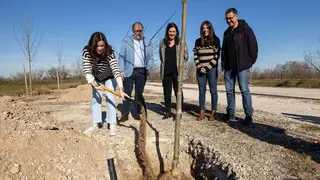 Bosque de los zaragozanos 2