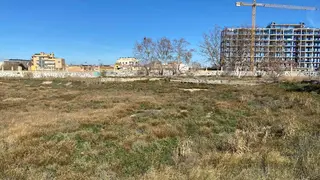 El parque tendr&aacute; praderas con mesas para hacer picnic