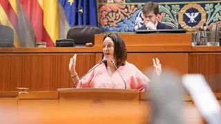 Imagen de archivo. La consejera Sus&iacute;n durante una intervenci&oacute;n. Foto: Cortes de Arag&oacute;n