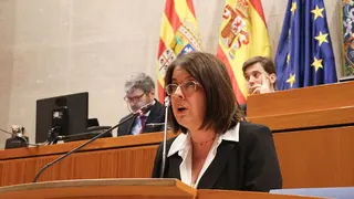 Comparecencia de la justicia Concepcion Gimeno. Foto: Pilar &Aacute;lvarez