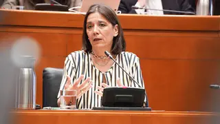 La interventora Ana G&oacute;mez Barrionuevo. Foto: Cortes de Arag&oacute;n