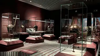 Por primera vez se re&uacute;nen todas las tipolog&iacute;as de cascos celtib&eacute;ricos de los que se tiene constancia