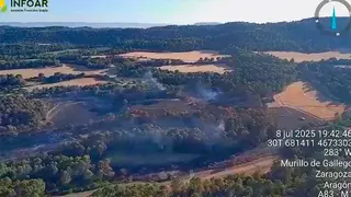 El incendio de Murillo de G&aacute;llego, que ya se encuentra estabilizado, a &uacute;ltima hora del martes. Foto: Infoar