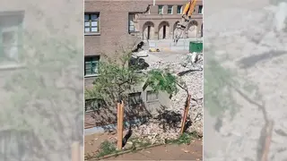 mayand&iacute;a-&aacute;rboles-obras