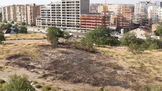 El fuego ha arrasado una zona de matorrales por la pastilla del Portillo