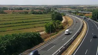 dgt
