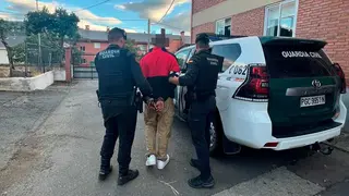 Agentes de la Guardia Civil de Zaragoza detienen en Le&oacute;n al presunto autor de un incendio en Berlanga del Bierzo.